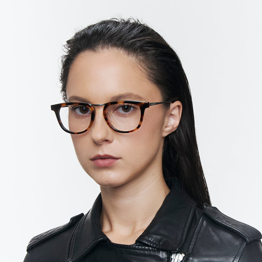 Classic Tortoise Model